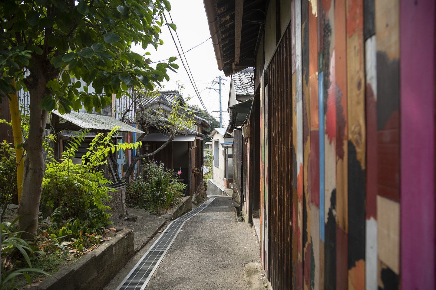 🎨 골목 벽화 프로젝트 월앨리 (로지헤키가푸로제쿠토 와루아레) 이미지 1